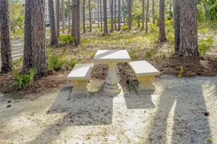 144 Spires Ln, Santa Rosa Beach, FL 32459 - Photo 40