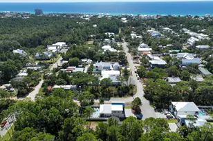 1140 N County Hwy 393 N, Santa Rosa Beach, FL 32459 - Photo 56