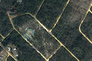 Lot 4 Summer St, Marianna, FL 32448 - Photo 1