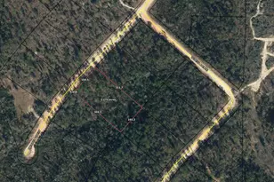 Lot 7 Dorcas Rd, Marianna, FL 32448 - Photo 1