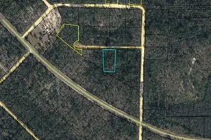 Lot 21 Plum Ct, Marianna, FL 32448 - Photo 1
