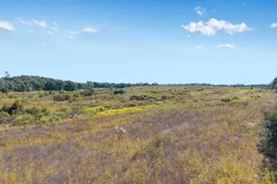 0 Hatcher Cemetery Rd, Freeport, FL 32439 - Photo 8