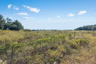 0 Hatcher Cemetery Rd, Freeport, FL 32439 - Photo 6