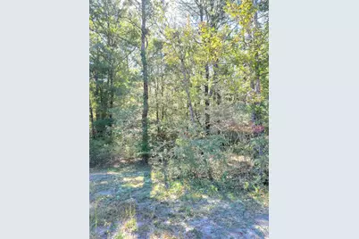 19 Acres Walton Bridge Road, Ponce de Leon, FL 32455 - Photo 16