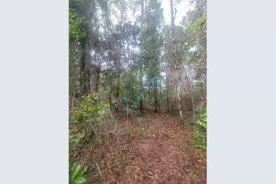 19 Acres Walton Bridge Road, Ponce de Leon, FL 32455 - Photo 30