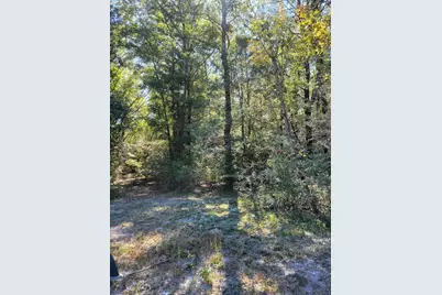 19 Acres Walton Bridge Road, Ponce de Leon, FL 32455 - Photo 10