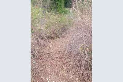 19 Acres Walton Bridge Road, Ponce de Leon, FL 32455 - Photo 28