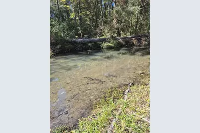 2822 Old Mill Road, Ponce de Leon, FL 32455 - Photo 78