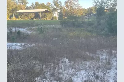 2822 Old Mill Road, Ponce de Leon, FL 32455 - Photo 76