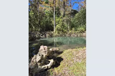 2822 Old Mill Road, Ponce de Leon, FL 32455 - Photo 80