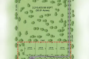 2 Acres Joe Dugger Rd, Freeport, FL 32439 - Photo 1