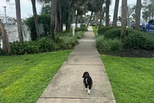 100 Gulf Shore Dr, Destin, FL 32541 - Photo 38