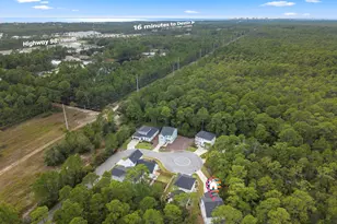 248 Euvino Wy, Santa Rosa Beach, FL 32459 - Photo 54