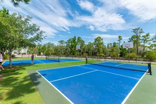 689 Flatwoods Forest Loop, Santa Rosa Beach, FL 32459 - Photo 50