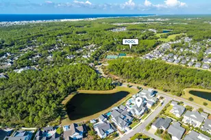 46 Needle Cast Ln, Inlet Beach, FL 32461 - Photo 86