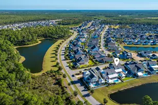 46 Needle Cast Ln, Inlet Beach, FL 32461 - Photo 80