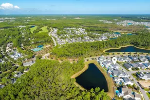 46 Needle Cast Ln, Inlet Beach, FL 32461 - Photo 88