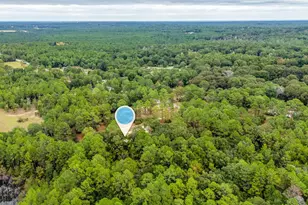 6070 W Dogwood Dr W, Crestview, FL 32536 - Photo 42