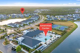 130 Pennekamp Ln, Inlet Beach, FL 32461 - Photo 56