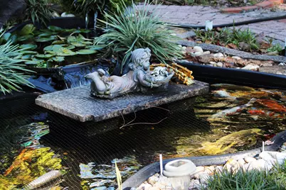 311 McEwen Drive, Niceville, FL 32578 - Photo 4