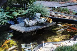 311 McEwen Dr, Niceville, FL 32578 - Photo 4