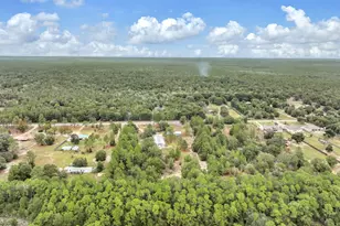 4156 Painter Branch Rd, Crestview, FL 32539 - Photo 36