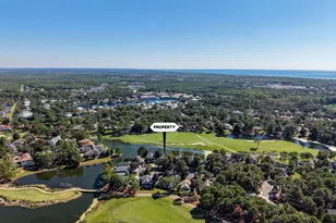 1327 E Ravens Run E, Miramar Beach, FL 32550 - Photo 52