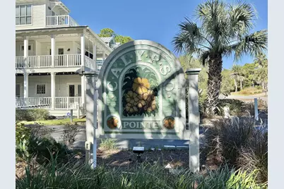 62 Pointe Circle, Santa Rosa Beach, FL 32459 - Photo 50