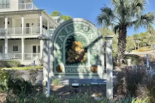 62 Pointe Cir, Santa Rosa Beach, FL 32459 - Photo 50