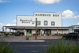 18 Canopy Cove, Freeport, FL 32439 - Photo 66