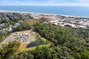 111 E Milestone Dr E, Inlet Beach, FL 32461 - Photo 38