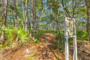 195 Cassine Garden Cir, Santa Rosa Beach, FL 32459 - Photo 36