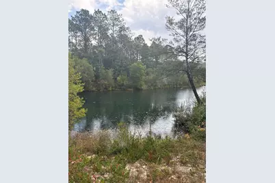 75 Evergreen Parkway, Defuniak Springs, FL 32435 - Photo 42