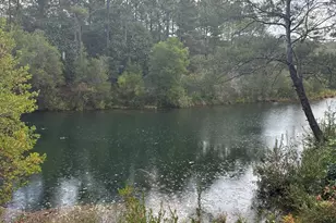 75 Evergreen Pkwy, Defuniak Springs, FL 32435 - Photo 42