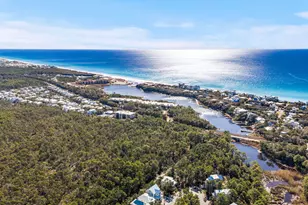 325 Matt's Way, Santa Rosa Beach, FL 32459 - Photo 36