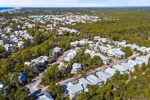 325 Matt's Way, Santa Rosa Beach, FL 32459 - Photo 62