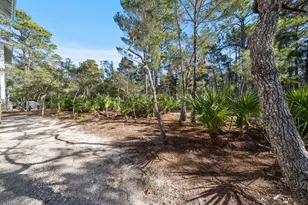325 Matt's Way, Santa Rosa Beach, FL 32459 - Photo 70