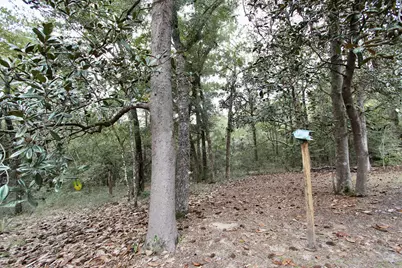 5698 Ryan Road, Crestview, FL 32539 - Photo 32