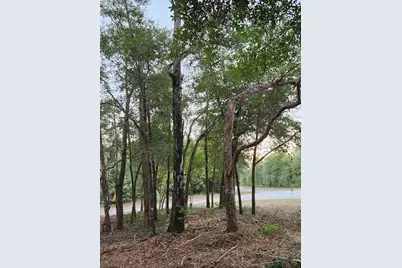 Lot 37 Diane Place, Chipley, FL 32428 - Photo 30