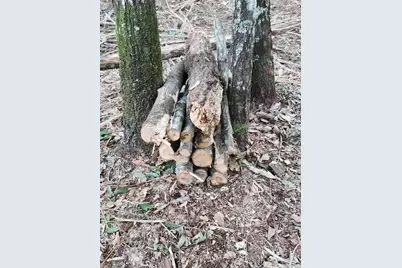 Lot 37 Diane Place, Chipley, FL 32428 - Photo 32