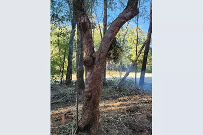 Lot 37 Diane Place, Chipley, FL 32428 - Photo 12