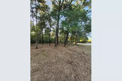 Lot 37 Diane Place, Chipley, FL 32428 - Photo 42