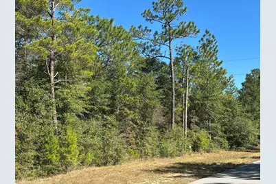 Tbd Bear Head Road, Crestview, FL 32539 - Photo 2