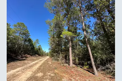 Tbd Bear Head Road, Crestview, FL 32539 - Photo 6