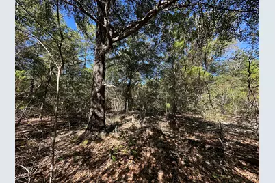 Tbd Bear Head Road, Crestview, FL 32539 - Photo 12