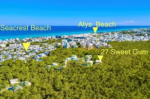 27 Sweet Gum, Inlet Beach, FL 32461 - Photo 42
