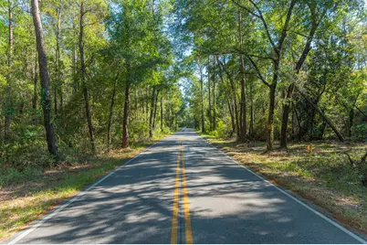 7 Acres Old Jolly Bay Road, Freeport, FL 32439 - Photo 14