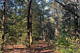 8092 Hwy 393, Laurel Hill, FL 32567 - Photo 1