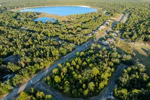 Xxxxxx Shenandoah Lot 19, Chipley, FL 32428 - Photo 1