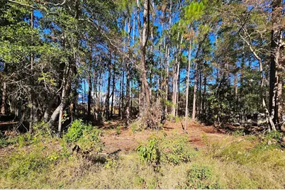 Xy Nikki Circle, Santa Rosa Beach, FL 32459 - Photo 2